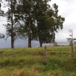 IMG-20180520-WA0091[1]