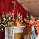 pics_hcs_ordinations_2019-01