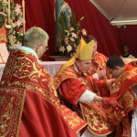 pics_hcs_ordinations_2019-43