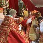 pics_hcs_ordinations_2019-84